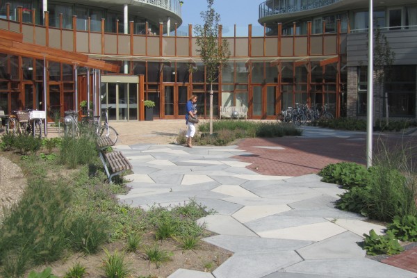 Naaldwijk